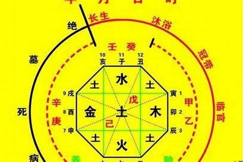 八字神數|生辰八字查詢計算器，線上查詢你的八字訊息。